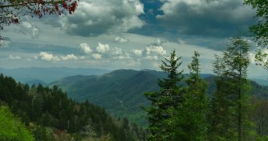 Five Top Roads in the Appalachian and Blue Ridge Mountains