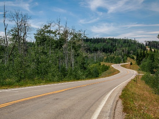 A picturesque stretch of gently curving mountain road on the Battle Pass Scenic Byway 