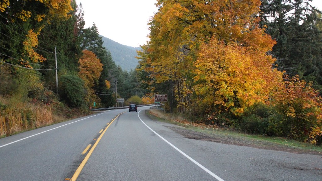 Fall colors are in abundant display along the roadside of Highway 101 on the Olympic Peninsula  