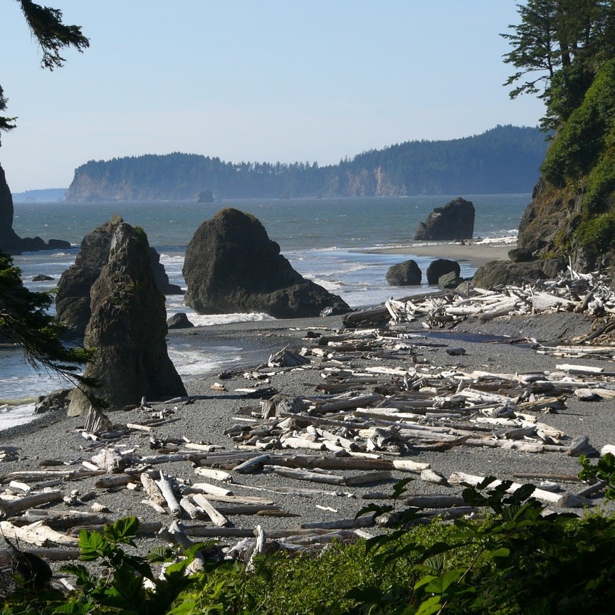 Driftwood scattered across the unsettled landscape at Ruby Beach 