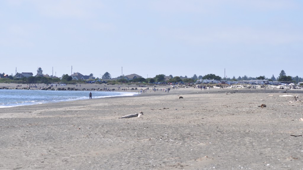 A wide stretch of sand on a recreational beach in Ocean Shores 