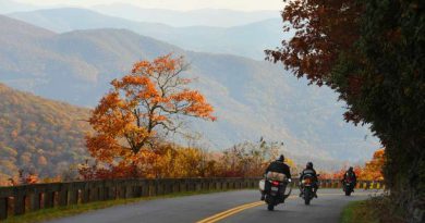 Motorcycles riding in fall colors.