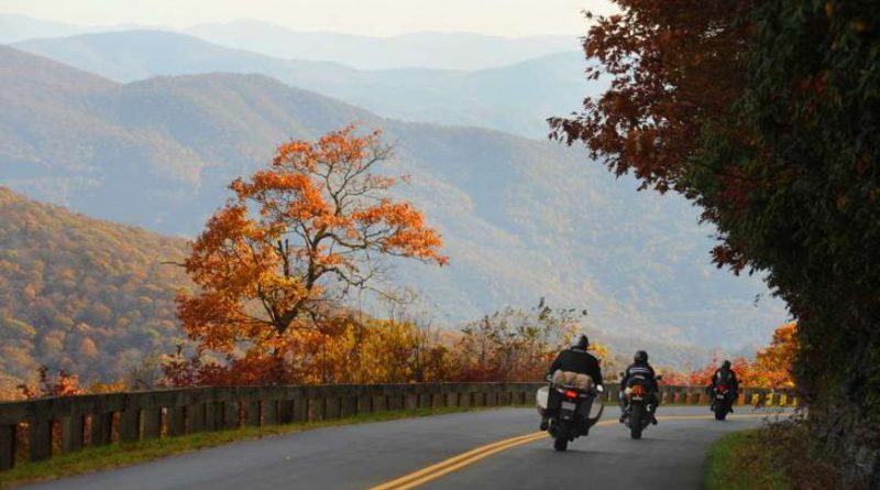Motorcycles riding in fall colors.
