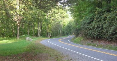 Winding forested road.