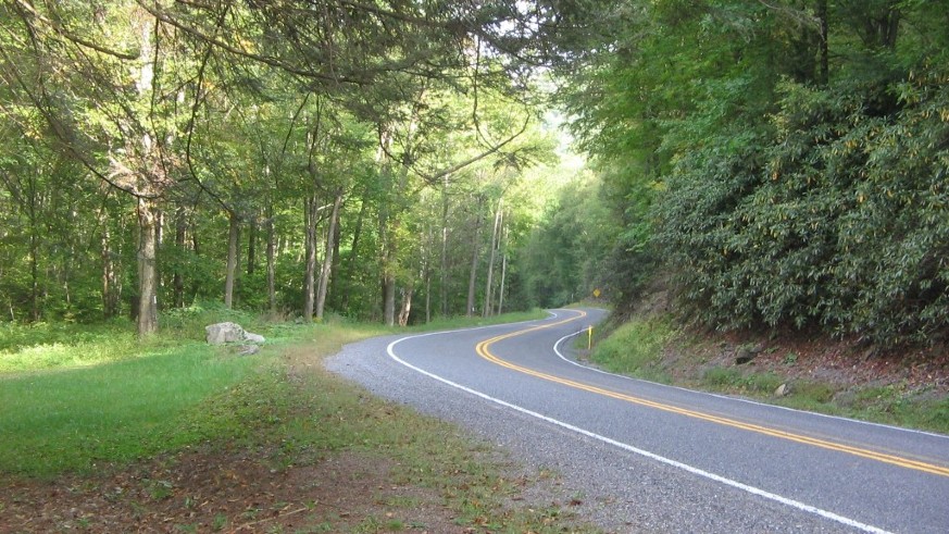 Winding forested road.