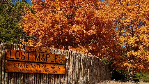 Entrance to Lost Maples