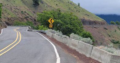 Twisty section on Oregon SR-66