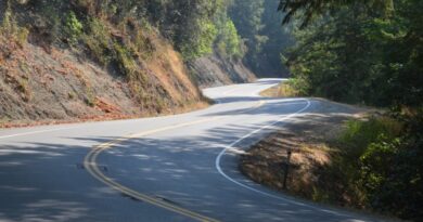 Curves on California Highway 36