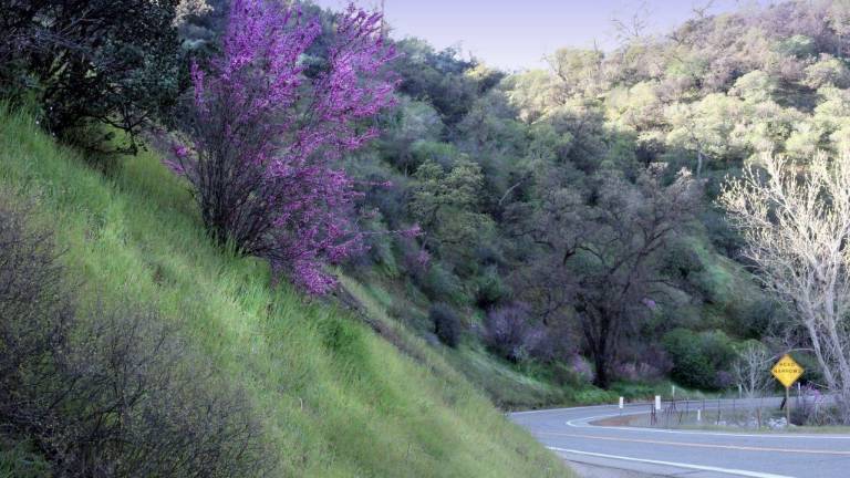 Colorful hillsides on California Highway 36